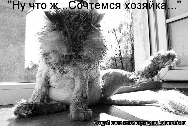 Котоматрица: "Ну что ж...Сочтемся хозяйка..."