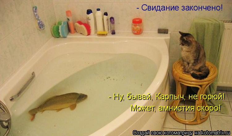 Котоматрица: - Свидание закончено! - Ну, бывай, Карпыч, не горюй! Может, амнистия скоро!