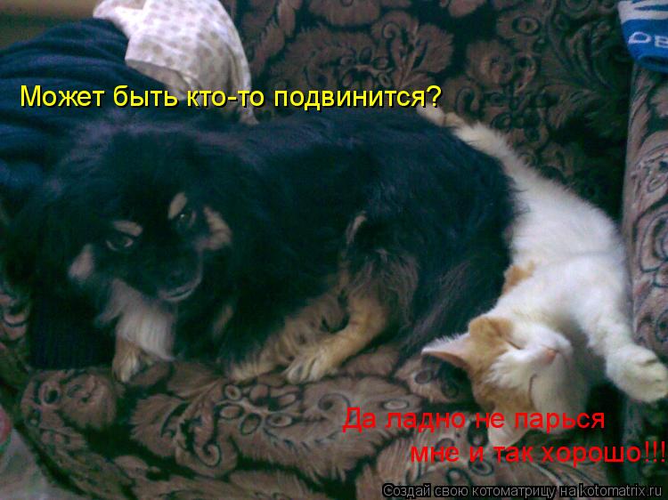 Котоматрица: Может быть кто-то подвинится? Да ладно не парься мне и так хорошо!!! Да ладно не парься  мне и так хорошо!!!