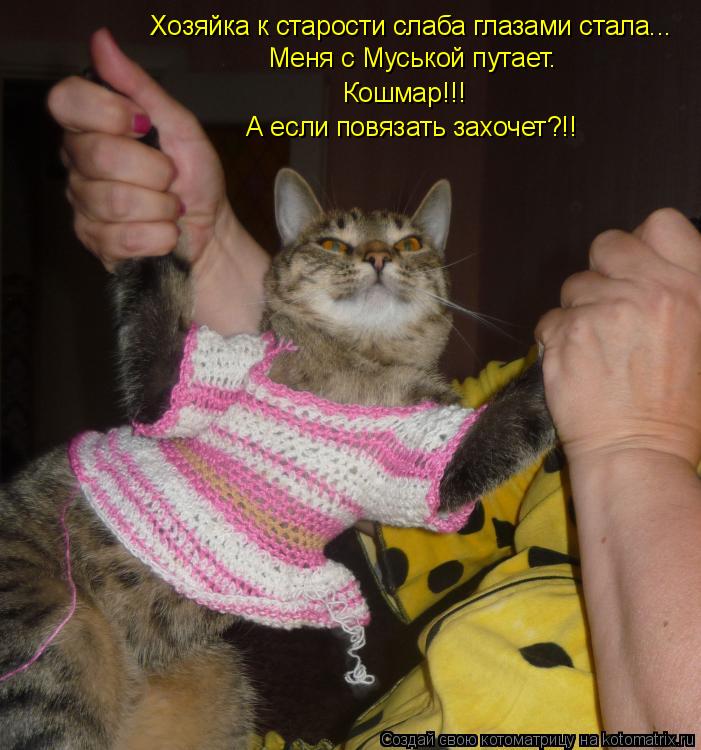 Хозяйка к старости слаба глазами стала... Меня с Муськой путает. Кошмар!!! А если повязать захочет?!!... Котоматрица: Хозяйка к старости слаба глазами стала... Меня с Муськой путает. Кошмар!!! А если повязать захочет?!!