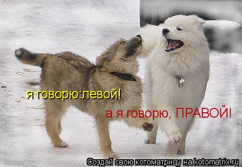 я говорю:левой! а я говорю, ПРАВОЙ!... Котоматрица: я говорю:левой! а я говорю, ПРАВОЙ!