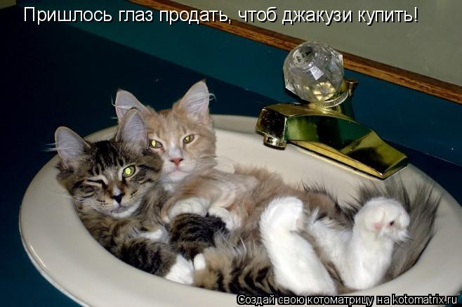 Пришлось глаз продать, чтоб джакузи купить!... Котоматрица: Пришлось глаз продать, чтоб джакузи купить!