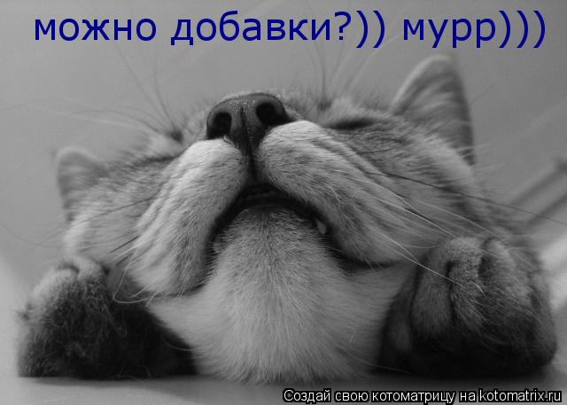 можно добавки?)) мурр)))... Котоматрица: можно добавки?)) мурр)))