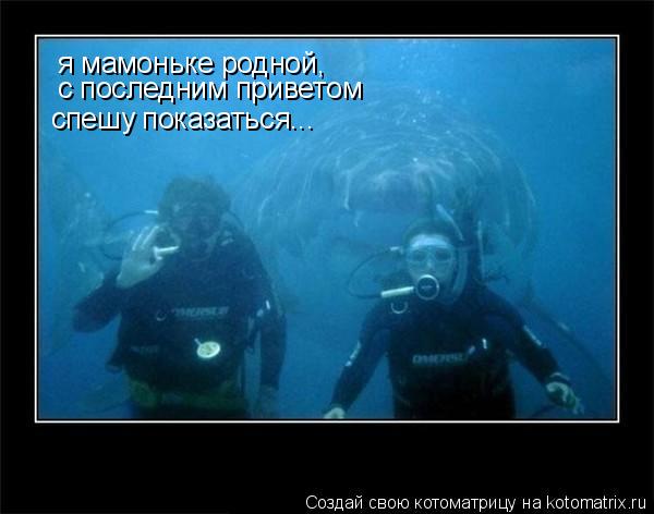 я мамоньке родной, с последним приветом спешу показаться...... Котоматрица: я мамоньке родной, с последним приветом спешу показаться...