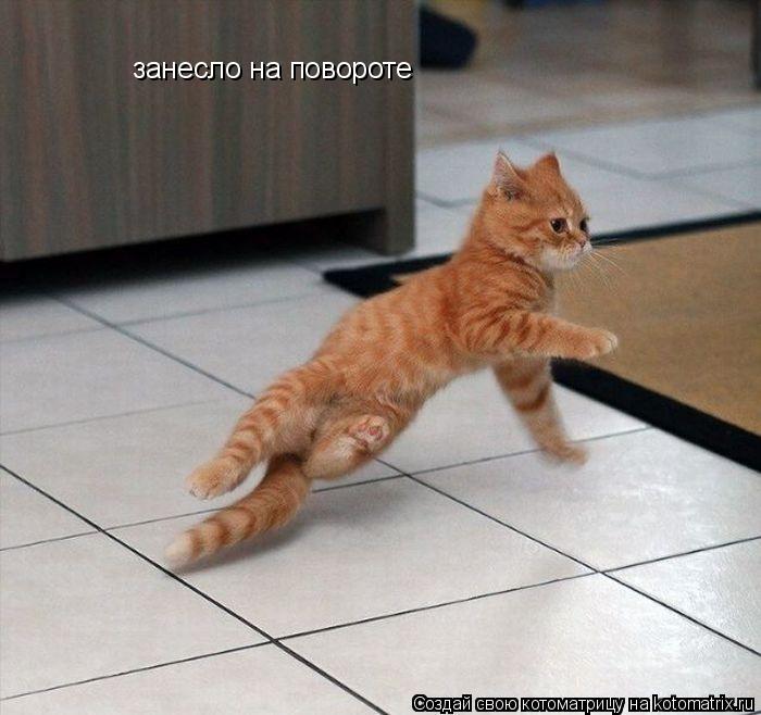 занесло на повороте... Котоматрица: занесло на повороте