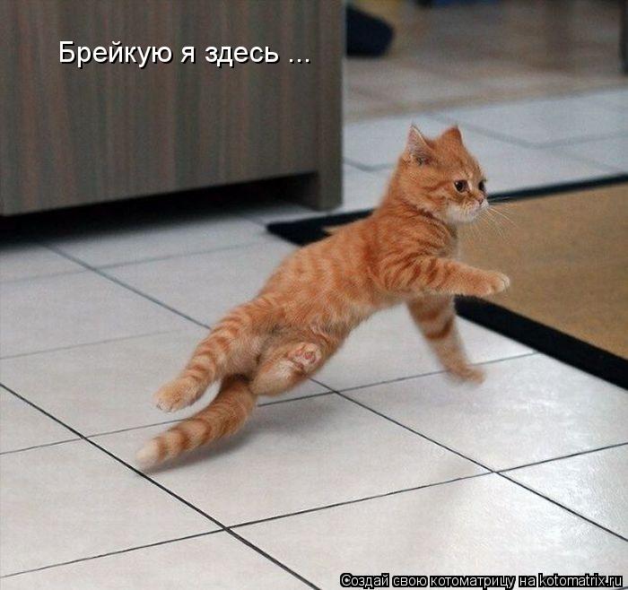 Брейкую я здесь ...... Котоматрица: Брейкую я здесь ...