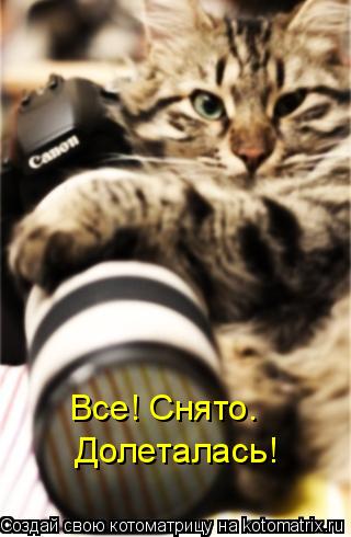 Все! Снято. Долеталась!... Котоматрица: Все! Снято. Долеталась!