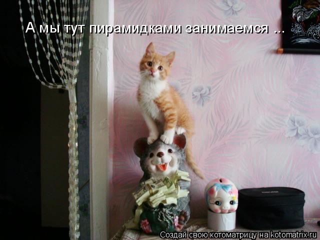 А мы тут пирамидками занимаемся ...... Котоматрица: А мы тут пирамидками занимаемся ...