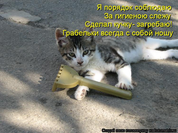 Я порядок собл. Я порядок соблюдаю За гигиеною слежу Сделал кучку- загребаю! Грабельки всегда с собой... Котоматрица: Я порядок собл. Я порядок соблюдаю За гигиеною слежу Сделал кучку- загребаю! Грабельки всегда с собой ношу