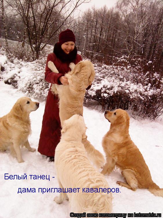 Белый танец - дама приглашает кавалеров.... Котоматрица: Белый танец - дама приглашает кавалеров.