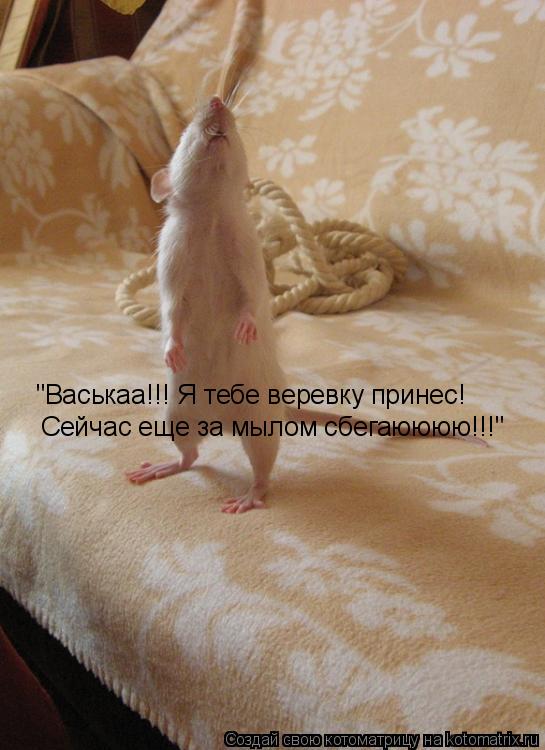 "Васькаа!!! Я тебе веревку принес! Сейчас еще за мылом сбегаюююю!!!"... Котоматрица: "Васькаа!!! Я тебе веревку принес! Сейчас еще за мылом сбегаюююю!!!"