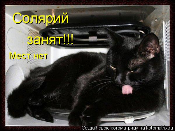 Солярий занят!!! Мест нет... Котоматрица: Солярий занят!!! Мест нет