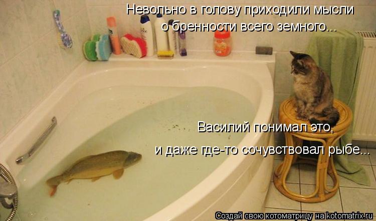 Невольно в голову приходили мысли о бренности всего земного... Василий понимал это, и даже где-то соч... Котоматрица: Невольно в голову приходили мысли о бренности всего земного... Василий понимал это, и даже где-то сочувствовал рыбе...