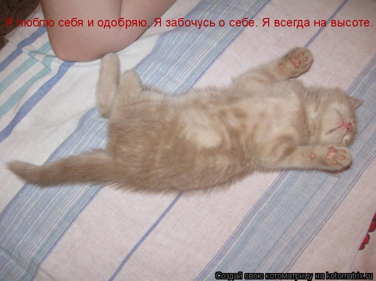 Я люблю себя и одобряю. Я забочусь о себе. Я всегда на высоте.... Котоматрица: Я люблю себя и одобряю. Я забочусь о себе. Я всегда на высоте.