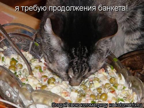 я требую продолжения банкета!... Котоматрица: я требую продолжения банкета!