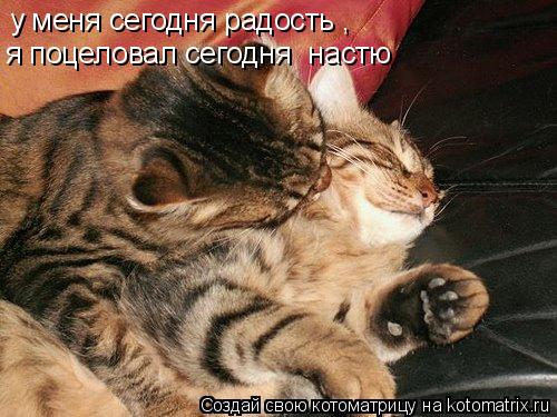 у меня сегодня радость , я поцеловал сегодня настю... Котоматрица: у меня сегодня радость , я поцеловал сегодня настю