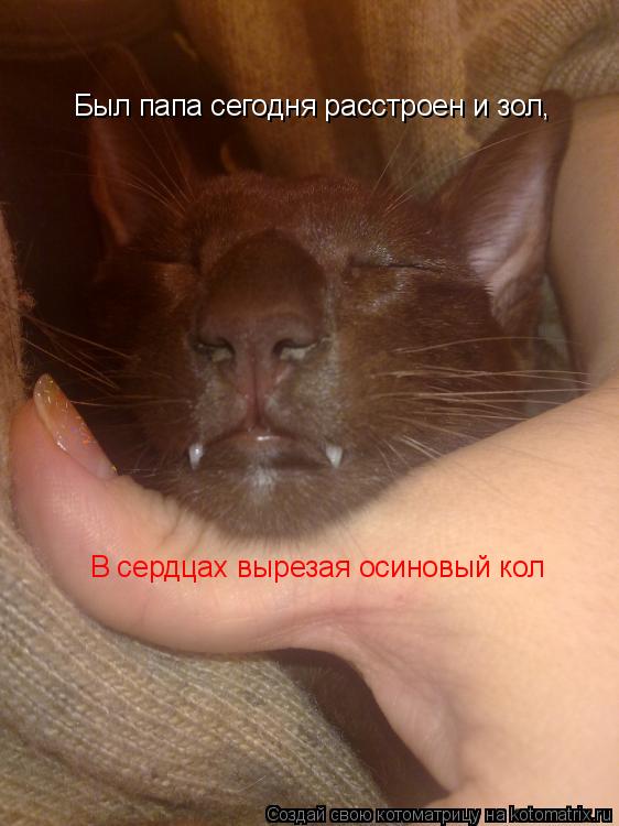 Был папа сегодня расстроен и зол, В сердцах вырезая осиновый кол В сердцах вырезая осиновый кол... Котоматрица: Был папа сегодня расстроен и зол, В сердцах вырезая осиновый кол В сердцах вырезая осиновый кол