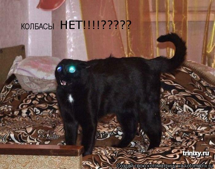 КОЛБАСЫ НЕТ!!!!?????... Котоматрица: КОЛБАСЫ НЕТ!!!!?????