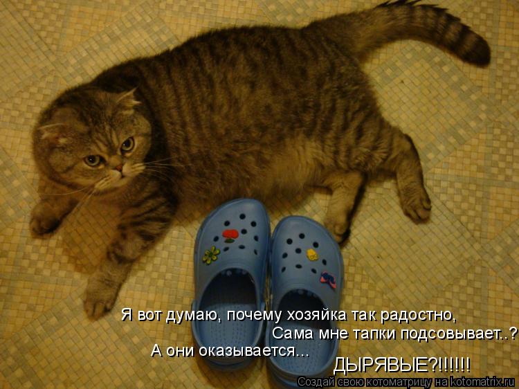 Сама мне тапки подсовывает..? А они оказывается... ДЫРЯВЫЕ?!!!!!! Я вот думаю, почему хозяйка так рад... Котоматрица: Сама мне тапки подсовывает..? А они оказывается... ДЫРЯВЫЕ?!!!!!! Я вот думаю, почему хозяйка так радостно,