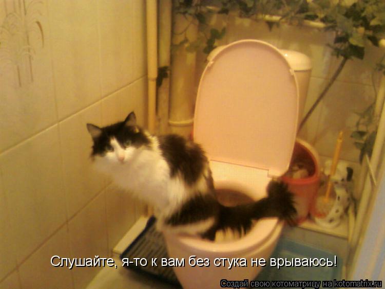 Слушайте, я-то к вам без стука не врываюсь!... Котоматрица: Слушайте, я-то к вам без стука не врываюсь!