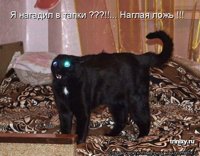 Я нагадил в тапки ???!!... Наглая ложь !!!... Котоматрица: Я нагадил в тапки ???!!... Наглая ложь !!!