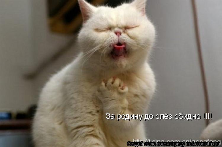 За родину до слёз обидно !!!!... Котоматрица: За родину до слёз обидно !!!!