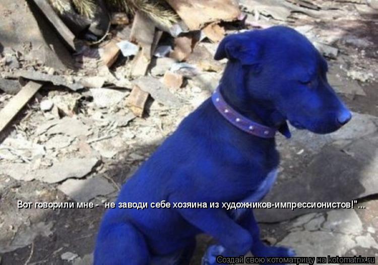 Вот говорили мне - "не заводи себе хозяина из художников-импрессионистов!"...... Котоматрица: Вот говорили мне - "не заводи себе хозяина из художников-импрессионистов!"...