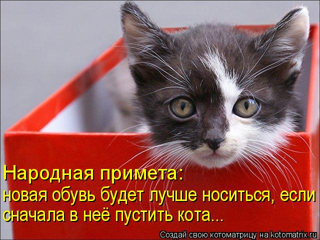 Котоматрица: Народная примета: новая обувь будет лучше носиться, если сначала в неё пустить кота...