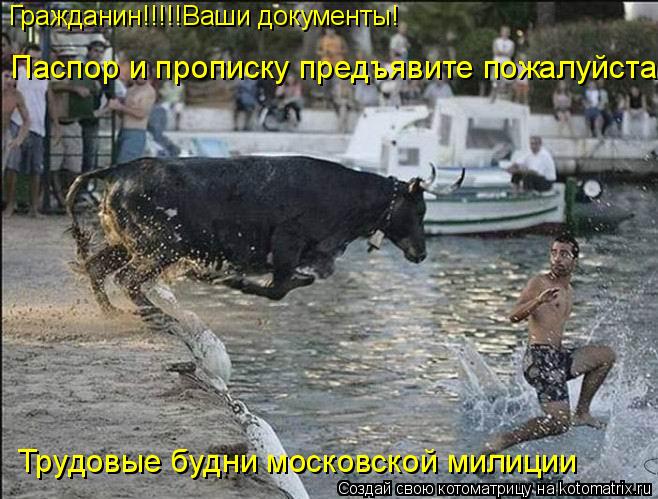 Гражданин!!!!!Ваши документы! Трудовые будни московской милиции Паспор и прописку предъявите пожалуйс... Котоматрица: Гражданин!!!!!Ваши документы! Трудовые будни московской милиции Паспор и прописку предъявите пожалуйста