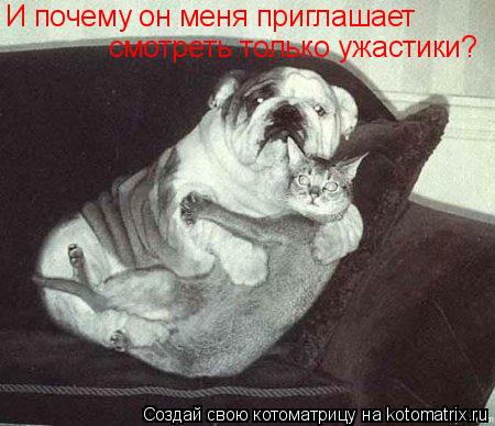 И почему он меня приглашает смотреть только ужастики?... Котоматрица: И почему он меня приглашает смотреть только ужастики?