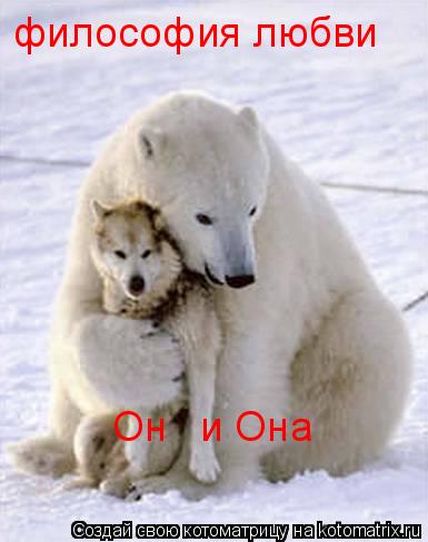 философия любви Он и Она... Котоматрица: философия любви Он и Она