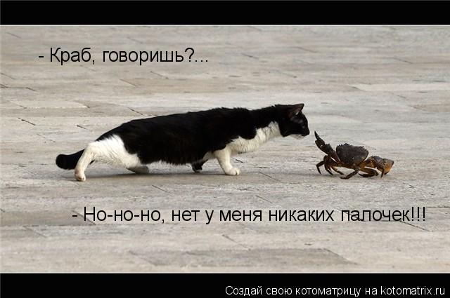 - Краб, говоришь?... - Но-но-но, нет у меня никаких палочек!!!... Котоматрица: - Краб, говоришь?... - Но-но-но, нет у меня никаких палочек!!!