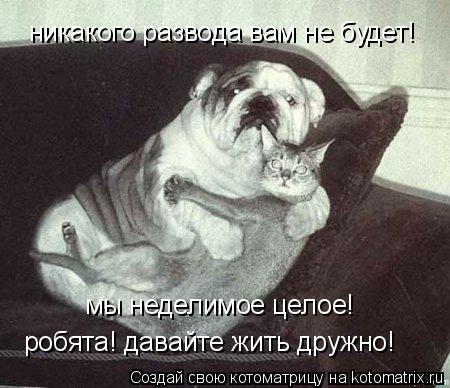 никакого развода вам не будет! мы неделимое целое! робята! давайте жить дружно!... Котоматрица: никакого развода вам не будет! мы неделимое целое! робята! давайте жить дружно!