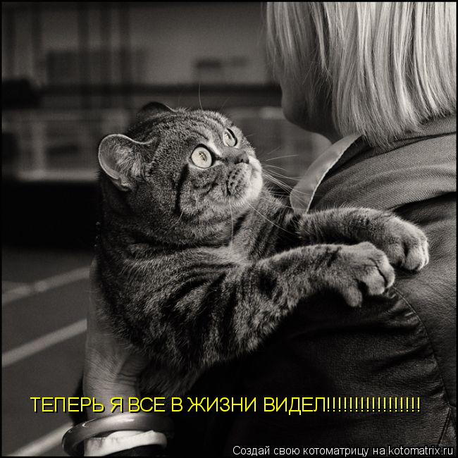 ТЕПЕРЬ Я ВСЕ В ЖИЗНИ ВИДЕЛ!!!!!!!!!!!!!!!!!... Котоматрица: ТЕПЕРЬ Я ВСЕ В ЖИЗНИ ВИДЕЛ!!!!!!!!!!!!!!!!!