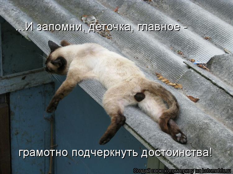Котоматрица: грамотно подчеркнуть достоинства! ...И запомни, деточка, главное -