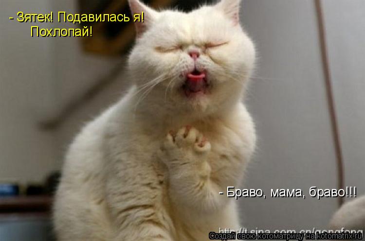 - Зятек! Подавилась я! Похлопай! - Браво, мама, браво!!!... Котоматрица: - Зятек! Подавилась я! Похлопай! - Браво, мама, браво!!!