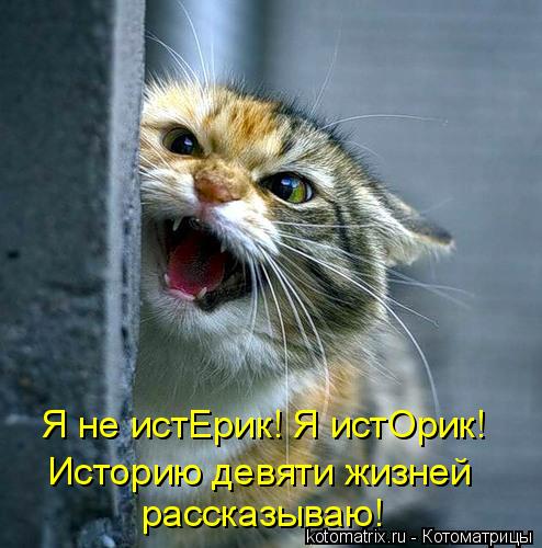 Я не истЕрик! Я истОрик! Историю девяти жизней рассказываю!... Котоматрица: Я не истЕрик! Я истОрик! Историю девяти жизней рассказываю!