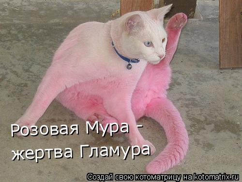 Розовая Мура - жертва Гламура... Котоматрица: Розовая Мура - жертва Гламура