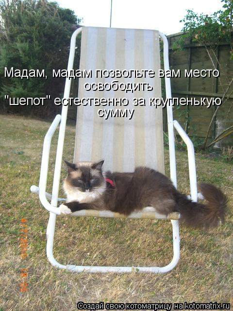Мадам, мадам позвольте вам место освободить "шепот" естественно за кругленькую сумму... Котоматрица: Мадам, мадам позвольте вам место освободить "шепот" естественно за кругленькую сумму