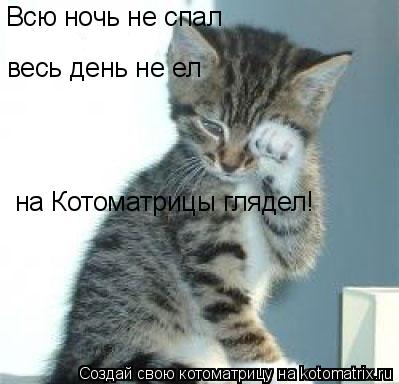 Котоматрица: Всю ночь не спал весь день не ел на Котоматрицы глядел!