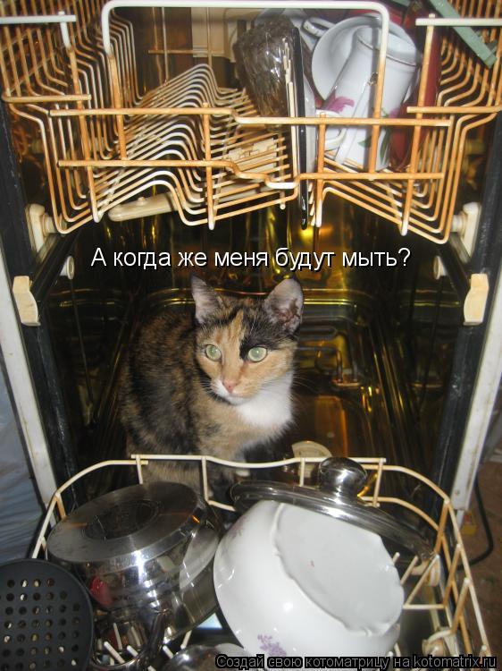 Котоматрица: А когда же меня будут мыть?