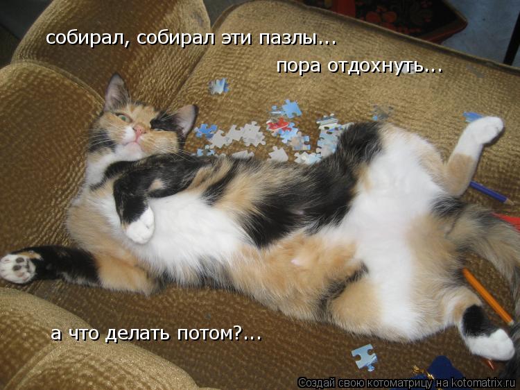 собирал, собирал эти пазлы... пора отдохнуть... а что делать потом?...... Котоматрица: собирал, собирал эти пазлы... пора отдохнуть... а что делать потом?...