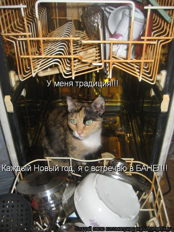 Каждый Новый год, я с встречаю в БАНЕ!!!! У меня традиция!!!... Котоматрица: Каждый Новый год, я с встречаю в БАНЕ!!!! У меня традиция!!!