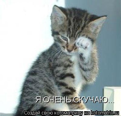 Я ОЧЕНЬ СКУЧАЮ... Я ОЧЕНЬ СКУЧАЮ...... Котоматрица: Я ОЧЕНЬ СКУЧАЮ... Я ОЧЕНЬ СКУЧАЮ...