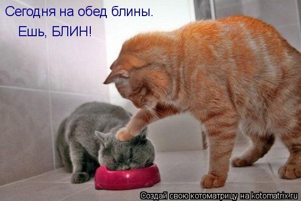 Сегодня на обед блины. Ешь, БЛИН!... Котоматрица: Сегодня на обед блины. Ешь, БЛИН!