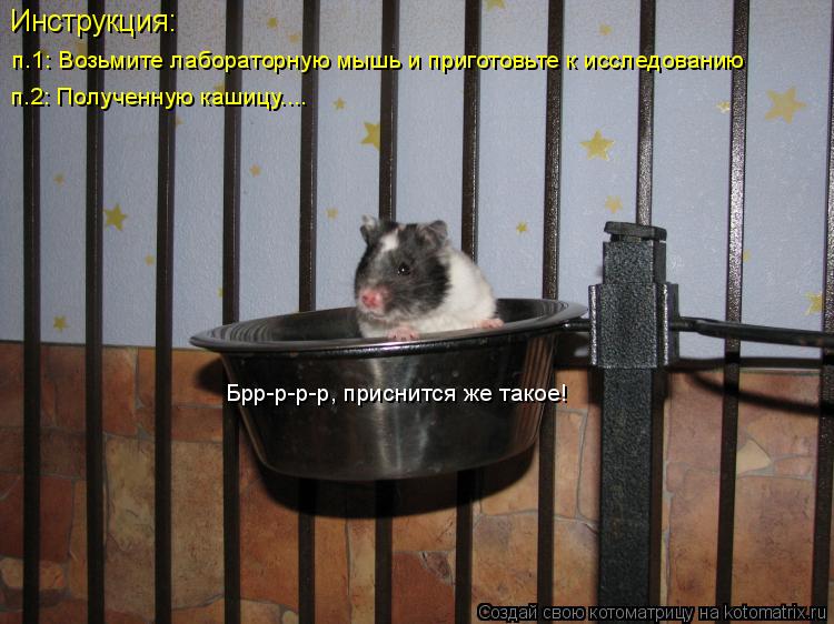 Инструкция: п.1: Возьмите лабораторную мышь и приготовьте к исследованию п.2: Полученную кашицу.... Б... Котоматрица: Инструкция: п.1: Возьмите лабораторную мышь и приготовьте к исследованию п.2: Полученную кашицу.... Брр-р-р-р, приснится же такое!