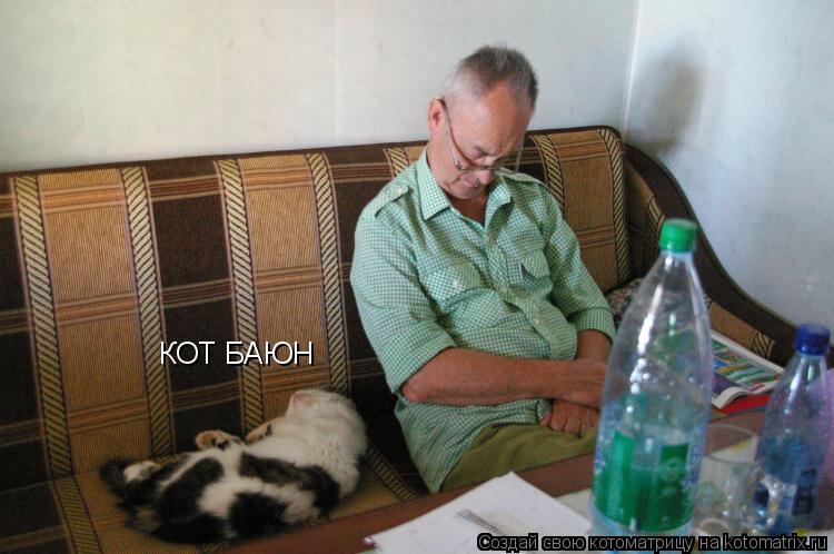 КОТ БАЮН... Котоматрица: КОТ БАЮН