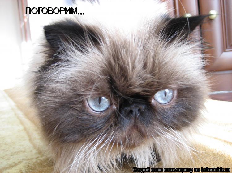 ПОГОВОРИМ,,, ПОГОВОРИМ,,,... Котоматрица: ПОГОВОРИМ,,, ПОГОВОРИМ,,,