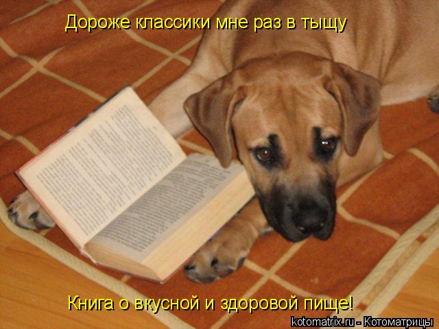 Дороже классики мне раз в тыщу Книга о вкусной и здоровой пище!... Котоматрица: Дороже классики мне раз в тыщу Книга о вкусной и здоровой пище!