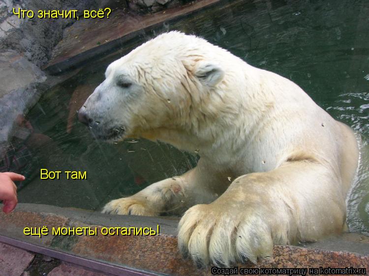 Что значит, всё? Вот там ещё монеты остались!... Котоматрица: Что значит, всё? Вот там ещё монеты остались!